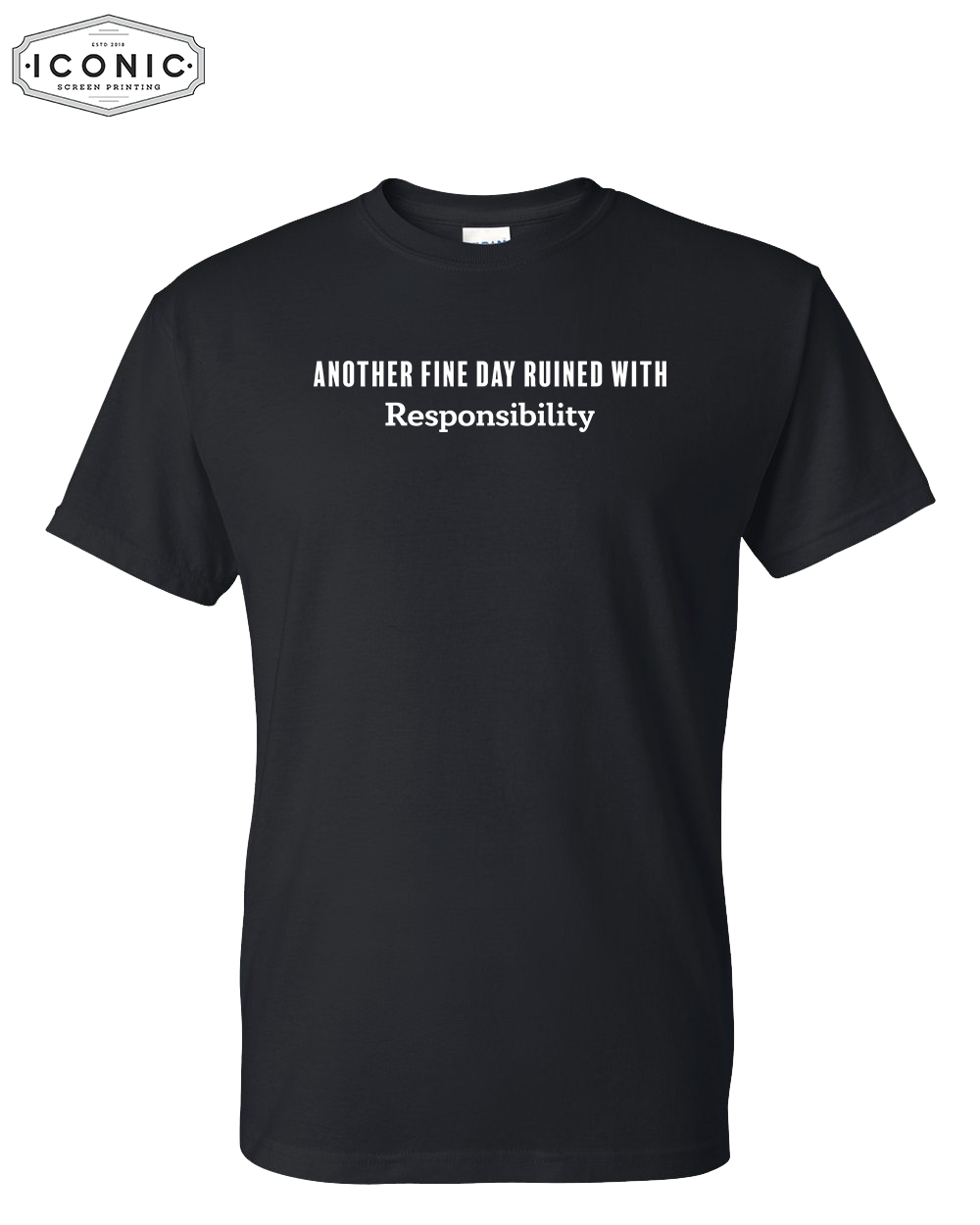 Another Fine Day - DryBlend T-shirt